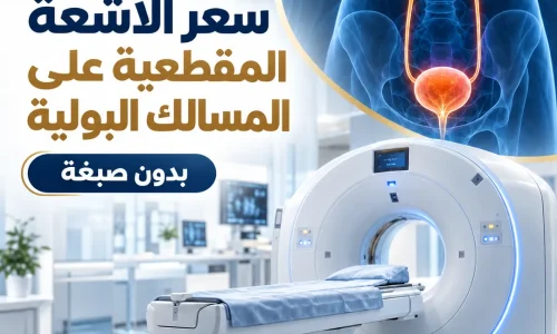 سعر الأشعة المقطعية على المسالك البولية