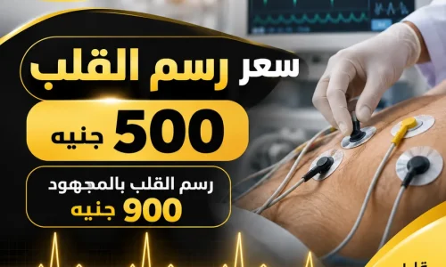 سعر رسم القلب